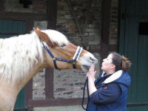 Auf dem Bild steht Stefanie Lange mit dem Pferde Merle Kopf an Kopf.